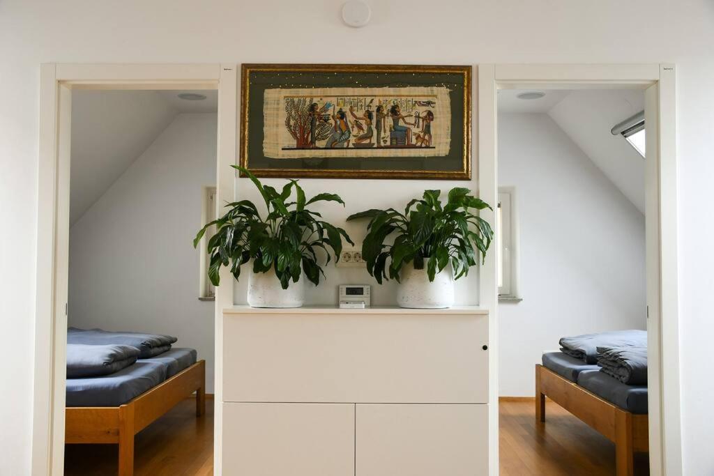 Stairway To Ljubljana Apartment Dış mekan fotoğraf